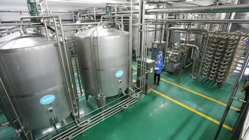 什么是蒸汽烹饪技术 燃气蒸汽发生器用于食品加工,均匀加热营养不流失