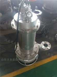 wjqx 全不锈钢排污泵 排污效果工 厂 处理污泥泵